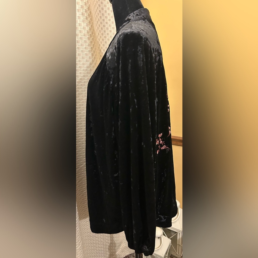 ODDY Anthropologie Black Velvet Garment - Picture 4 of 10